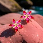 Starfish pink earrings - Image 6